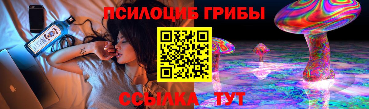 Галлюциногенные грибы прущие грибы Гусиноозёрск